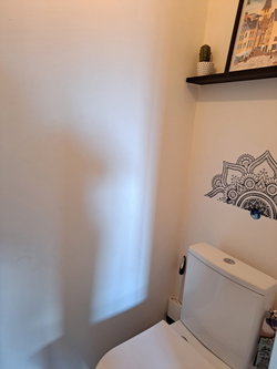 wc haut