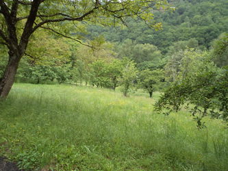 vue campagne