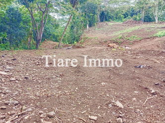 Vente Terrain – Lot B 1136 m² Plat Intime Rivière Polynésie Fran&amp;ccedil;aise