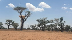 terrain 300 mètres carrés  à vendre à Malicounda