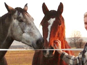 Chuchoter l&#039;oreille ton cheval Genève Suisse