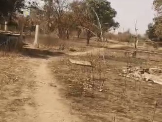 Annonce Vente Terrain Saly Joseph Saly Portudal Sénégal