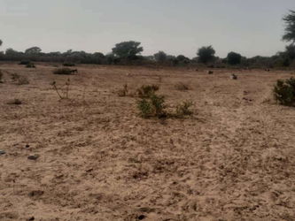 Terrains 250m2 vente Malicounda Mbour M&#039;Bour Sénégal