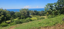 Nature Sea Ecco 1