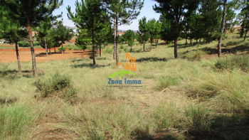 Vente terrain 60Ares 17Ca Kianjamalaza Antananarivo Madagascar