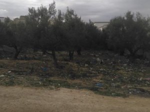 Vente 1 terrain Kalaa Sghira d&#039;1 surface 700 m² Sousse Tunisie