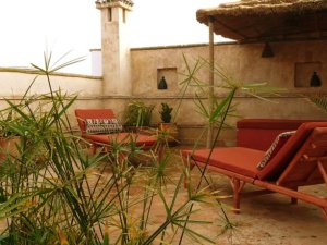 Vente agréable riad jardin Essaouira Maroc