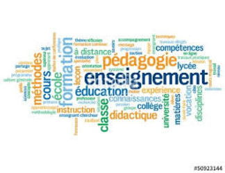Annonce Cours langues étrangères par visio Monaco