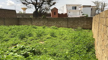 Terrain 450m2 à Gandigal