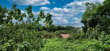 Vente Beau terrain vue mer calme PIHAENA Moorea-Maiao Polynésie Fran&amp;ccedil;aise