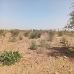 Terrainde 1,3 hectare vers  Pout