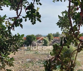 Vente Terrain idéalement placé hammamet nord Tunisie