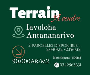Terrain