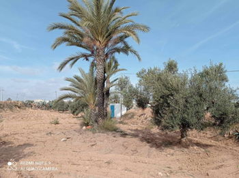 Annonce Vente 1 terrain 4457 m² permis construction El Hadada Djerba