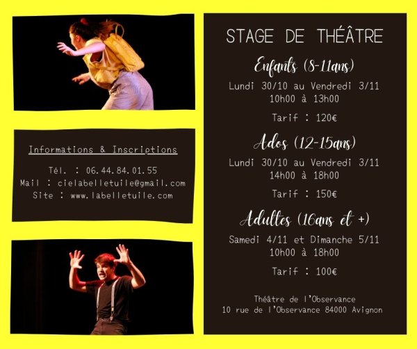 Stage théâtre Adultes Avignon Vaucluse