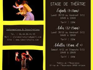 Annonce stage théâtre adultes Avignon Vaucluse