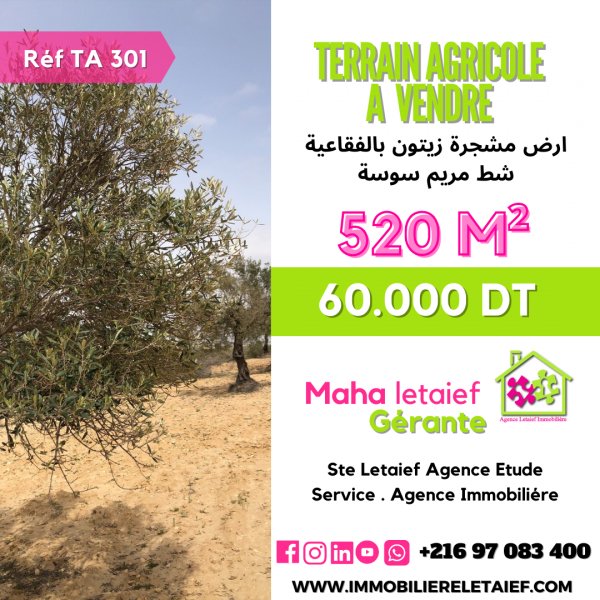 Vente Terrain agricole Vue MEr foukaia chott mariem Sousse Tunisie