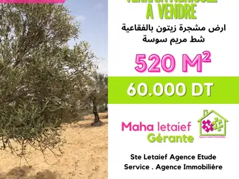 Vente Terrain agricole Vue MEr foukaia chott mariem Sousse Tunisie