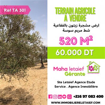 Vente Terrain agricole Vue MEr foukaia chott mariem Sousse Tunisie