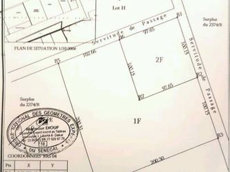 Vente Terrain 01 Hectare TF plein centre pôle Diamniadio 01 HECTARE Dakar