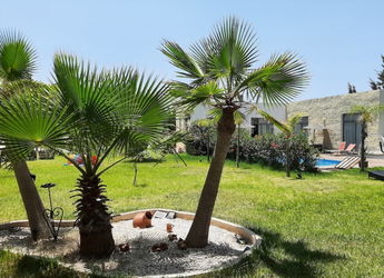 jardin
