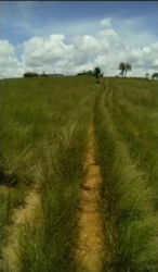 Photo réelle du terrain