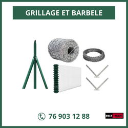 GRILLAGE ET BARBELE