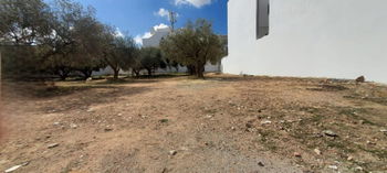 Vente Terrain AFH Barreket essahel Hammamet Tunisie