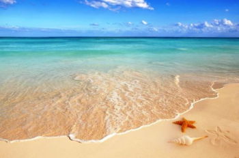 Annonce Vente Villa FLEURISTE Hammamet Tunisie