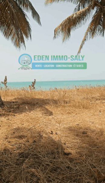 Terrains 225m² vente Pointe Saréne Thiamassas Sénégal