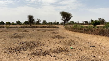 Terrain 1hectare et demi à Louly ngogome