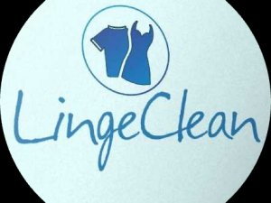 Lingeclean.com
