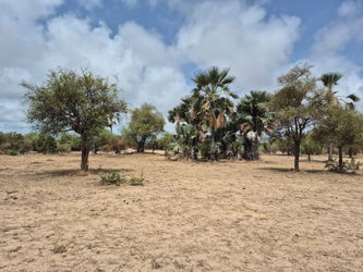 Terrain de 600m2 à Ndayane