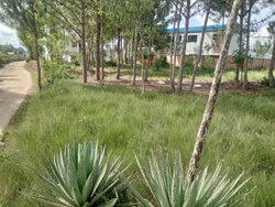 VENTE BEHITSY AMBOHIMANGAKELY 870M2