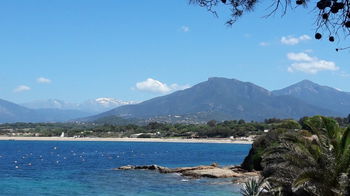 Location Superbe appart 2 chb VUE MER PANORAMIQUE dans PORTICCIO plage pied