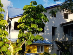 location rez de jardin