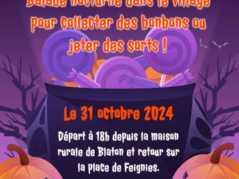 Annonce Balade Nocturne Mons Belgique