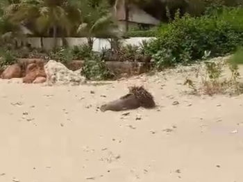 Vente Terrain 2039 m2 pied dans l&#039;eau située warang M&#039;Bour Sénégal