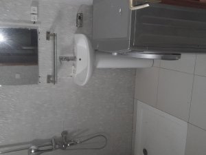 Toilette avec machine à laver