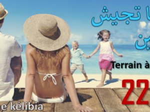 Vente plusieurs lots vue mer Nabeul Tunisie