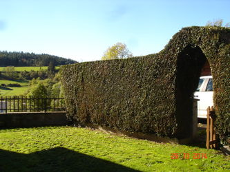 Location Gite sympa coeur massif Sancy Vernet-Sainte-Marguerite Puy de Dôme