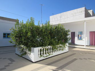 Vente Dar Arbi Traditionnelle H-Sousse Tunisie