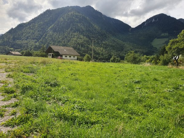Terrain bâtir proche centre village vue montagne Vallée d'Abondance