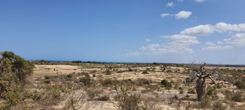 Vente IFATY TOLIARA 30 lots terrains Madagascar