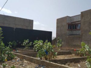 Vente Terrain 300 mètre carré mbour M&#039;Bour Sénégal