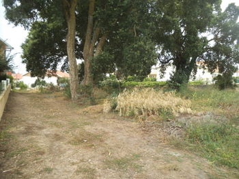 Vente Lot terrain constructible Leiria Portugal