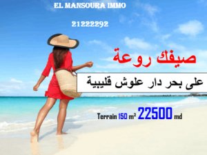 Vente terrain plage dar allouche kélibia Nabeul Tunisie