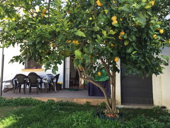 Location Maison 700m plage Marbella Espagne