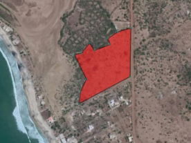 Vente Magnifique terrain 05 hectares mer Mbodiénne Sénégal