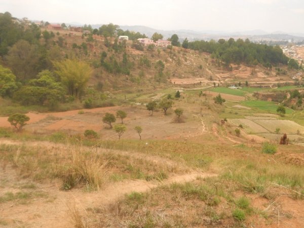 Vente Terrain 4 ha Betsizaraina Ambohimangakely Antananarivo Madagascar